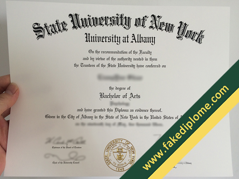 fake SUNY Albany diploma, SUNY Albany fake degree, SUNY Albany fake certificate