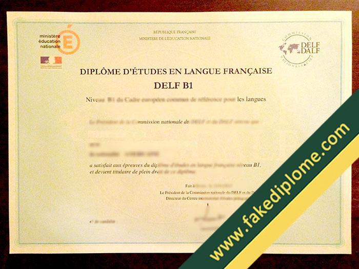 DELF B1 Certificate